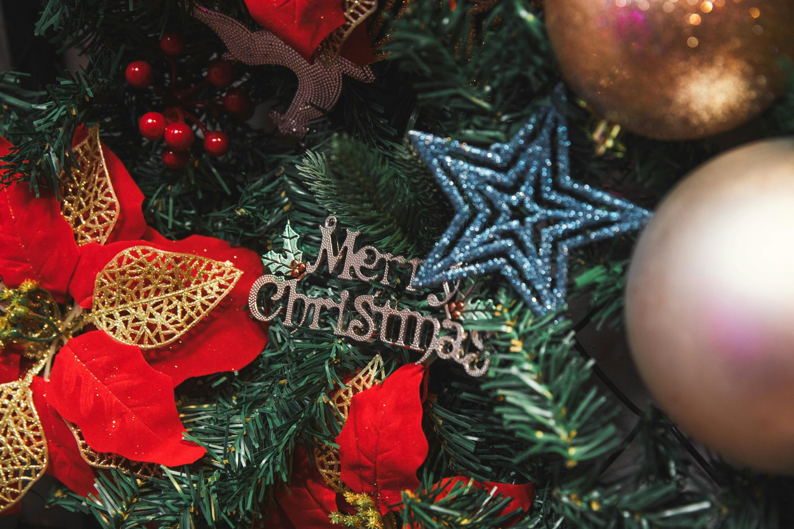 the-magic-of-christmas